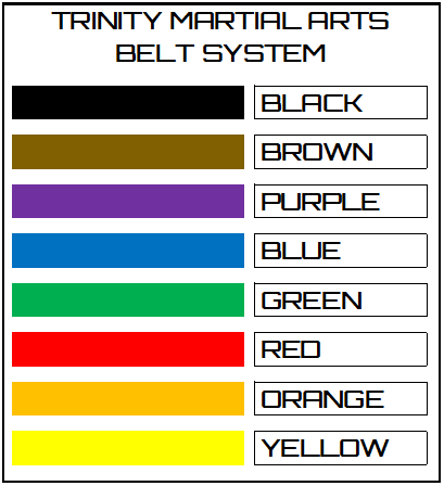 Kickboxing belts in order hotsell