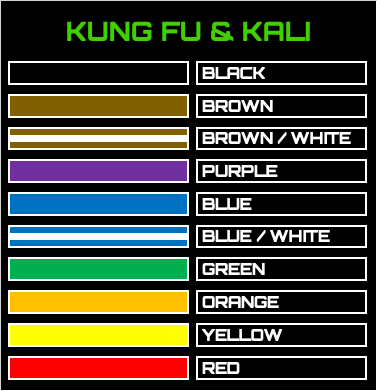 Kung Fu Kali